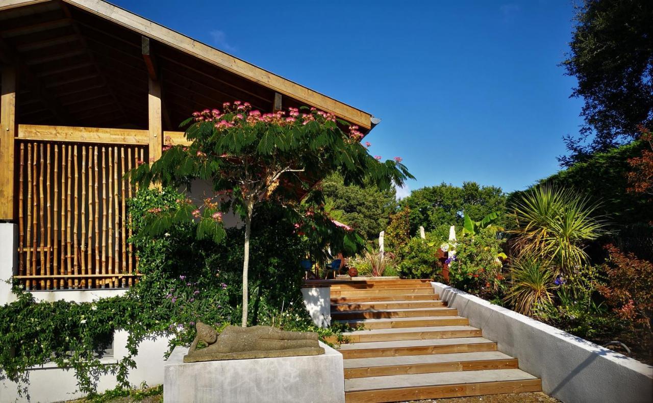 Villa Hossegor - 4 Etoiles, 6 Chambres - 5 Salles De Bains - Piscine Chauffee 5 Mn Des Plages Soorts-Hossegor Buitenkant foto